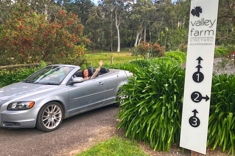 Valley Farm Vineyard Cottages - Holiday Great Ocean Road 0