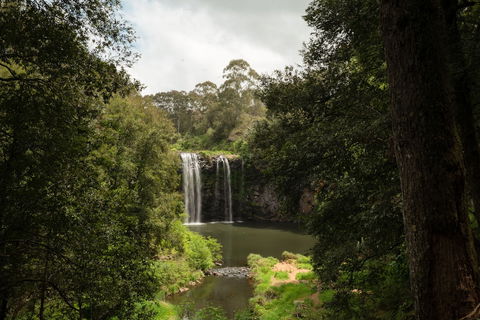 The Belfry Guesthouse - Holiday Great Ocean Road 3