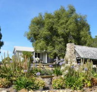 Sassafras Springs