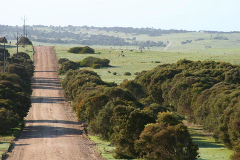 Almonta Park Lodge - Holiday Great Ocean Road 4