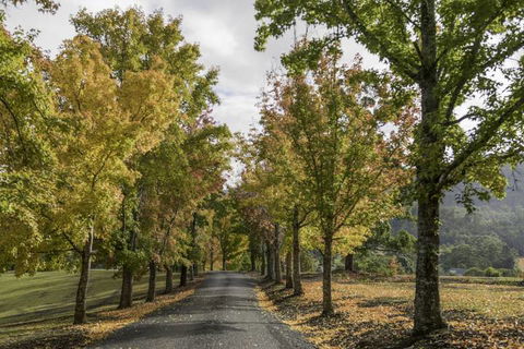 Clarendon Forest Retreat - Holiday Great Ocean Road 1