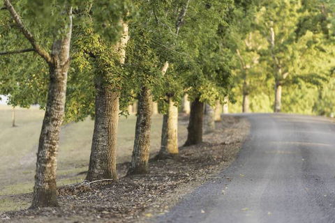 Clarendon Forest Retreat - Holiday Great Ocean Road 3