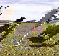 Taras Richmond Farmstay - Holiday Great Ocean Road