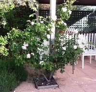 Ellesmere House - Holiday Great Ocean Road