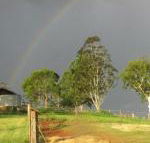 CBR Equine Cottage - Holiday Great Ocean Road