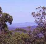 Ravensbourne Escape Cedar Lodge - Holiday Great Ocean Road