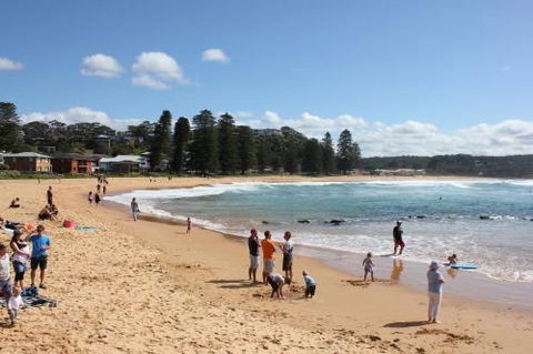 Avoca Beach Cape Cottage - Holiday Great Ocean Road 6