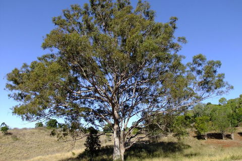 Deshons Retreat - Holiday Great Ocean Road 7
