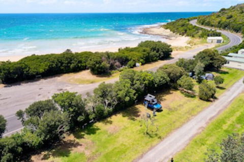 Kennett River Family Caravan Park - Holiday Great Ocean Road 0