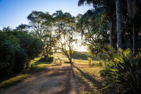 Hillview Cottages - Holiday Great Ocean Road 0