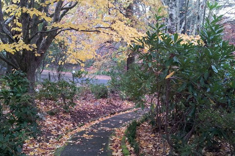 Kubba Roonga Guesthouse - Luxury Spa Retreat - Holiday Great Ocean Road 2