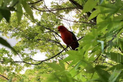 The Studio Yarra Valley - Holiday Great Ocean Road 7