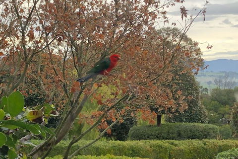 The Studio Yarra Valley - Holiday Great Ocean Road 4