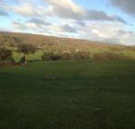 Mancuso Country Cottage Retreat - Holiday Great Ocean Road