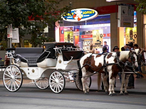 Mercure Melbourne Therry St - Holiday Great Ocean Road 16