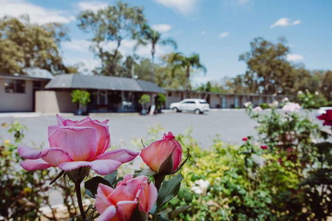 Artesian Spa Motor Inn - Holiday Great Ocean Road 2