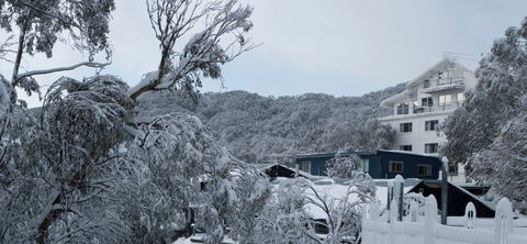 Attunga Alpine Lodge - Holiday Great Ocean Road 0