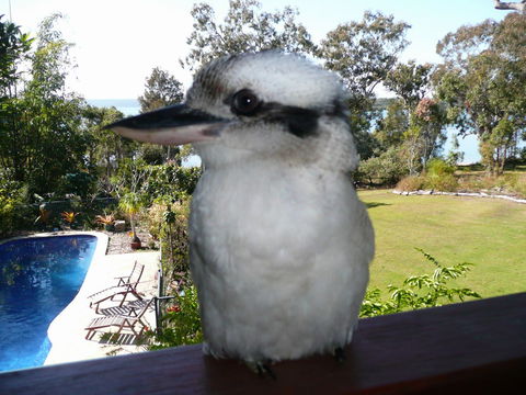 Yarrandabbi Dreaming Boutique B&B - Holiday Great Ocean Road 2