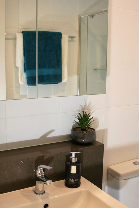Modern Executive Apt@Barton*1BR*WiFi*Gym*Secure Parking*Canberra - Holiday Great Ocean Road 13