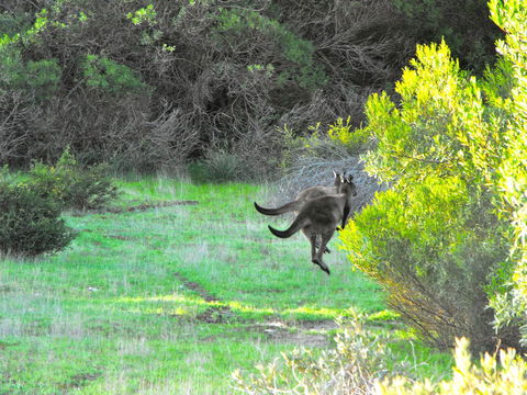 A Dune Escape - Holiday Great Ocean Road 25