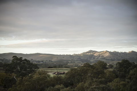 Novotel Barossa Valley Resort - Holiday Great Ocean Road 23