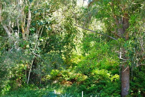 Brunswick Heads Treetop Studio - Holiday Great Ocean Road 20