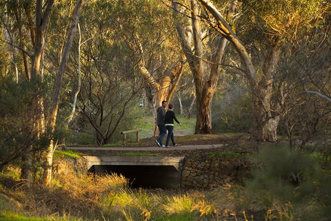 BIG 4 Barossa Tourist Park - Holiday Great Ocean Road 26