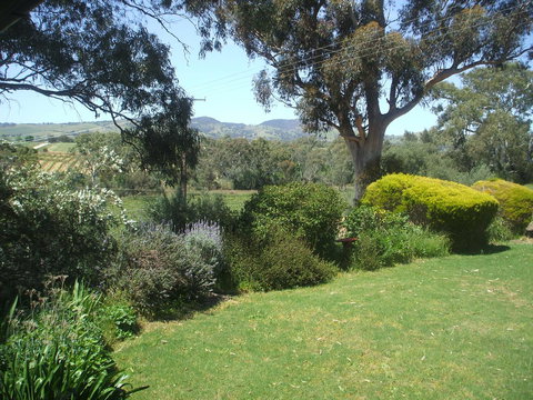 Archery Road Estate - Holiday Great Ocean Road 9