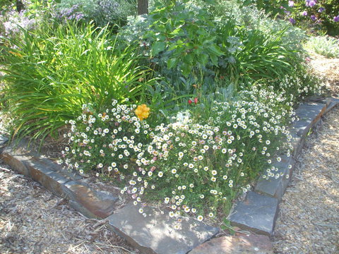 Archery Road Estate - Holiday Great Ocean Road 15