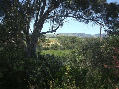 Archery Road Estate - Holiday Great Ocean Road 0