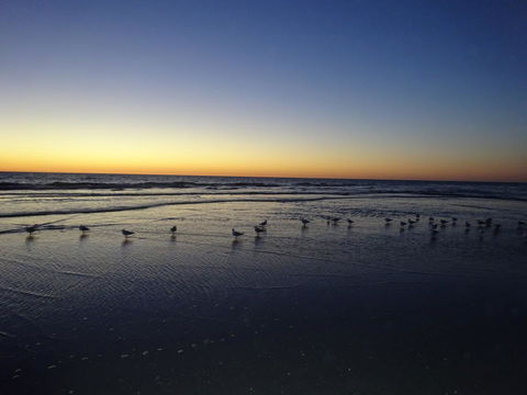 Aurora Holiday Apartment @West Beach - Holiday Great Ocean Road 14