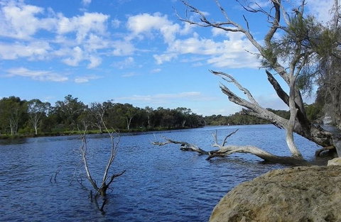 Ascot Comfort - Holiday Great Ocean Road 23