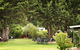 Peppermint Brook Cottages - thumb 14