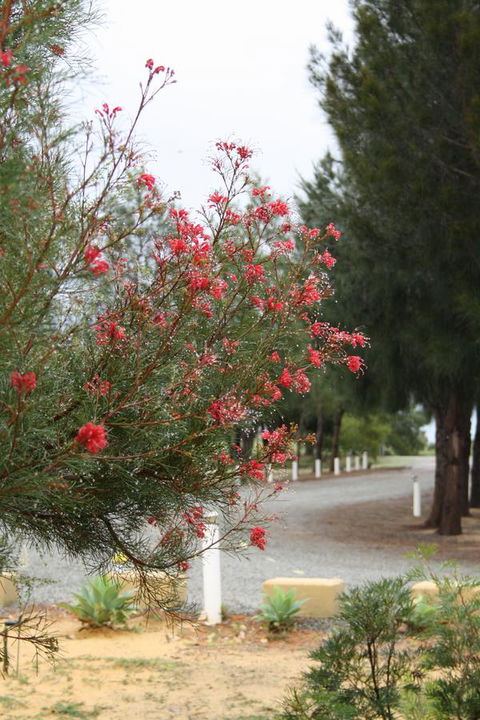 The Heights Bed & Breakfast - Holiday Great Ocean Road 0