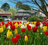 Nesuto Leura Gardens formerly Waldorf Leura Gardens Resort - Holiday Great Ocean Road