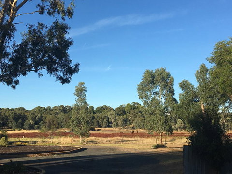 Junee Motor Inn - Holiday Great Ocean Road 24