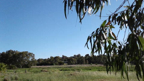 Junee Motor Inn - Holiday Great Ocean Road 8