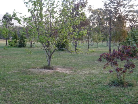 Romanz In The Valley (Luxury B&B) - Holiday Great Ocean Road 32