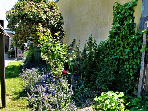 Apple Tree Cottage - Holiday Great Ocean Road 24