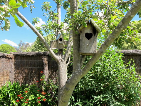 Apple Tree Cottage - Holiday Great Ocean Road 28