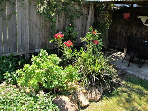 Apple Tree Cottage - Holiday Great Ocean Road 26