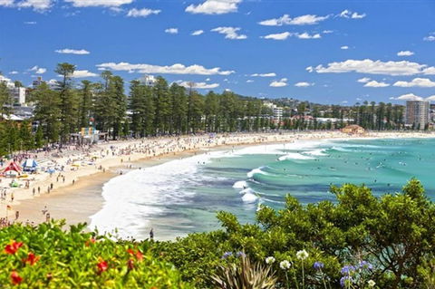 Oversized 2 Bedroom Manly Beach House - Holiday Great Ocean Road 12