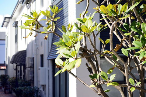 Avoca Randwick By Sydney Lodges - Holiday Great Ocean Road 34