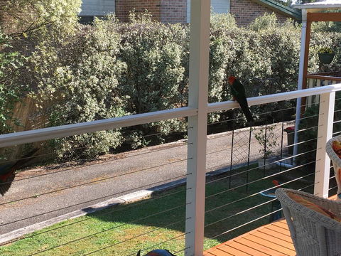 The Best Exotic Magnolia Cottage - Holiday Great Ocean Road 15