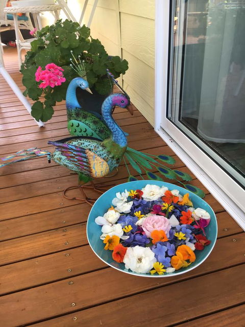 The Best Exotic Magnolia Cottage - Holiday Great Ocean Road 8
