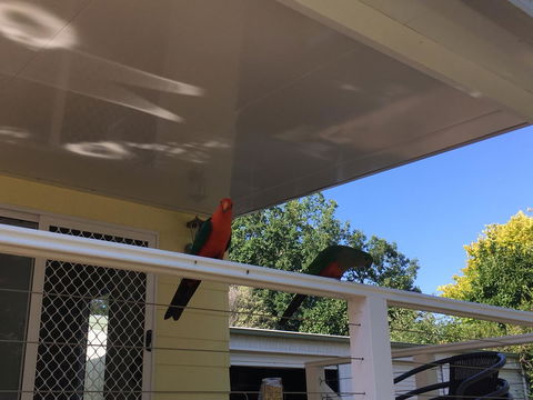 The Best Exotic Magnolia Cottage - Holiday Great Ocean Road 11