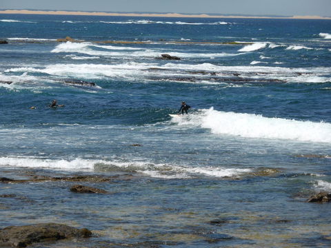 Arena Luxury Beachfront Apartment - Holiday Great Ocean Road 26