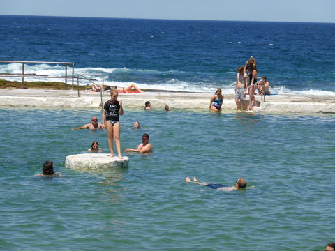 Arena Luxury Beachfront Apartment - Holiday Great Ocean Road 33