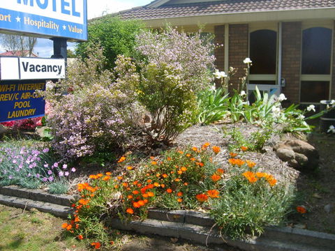 Albury City Motel - Holiday Great Ocean Road 29