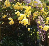 Bowral Road Bed and Breakfast - Holiday Great Ocean Road